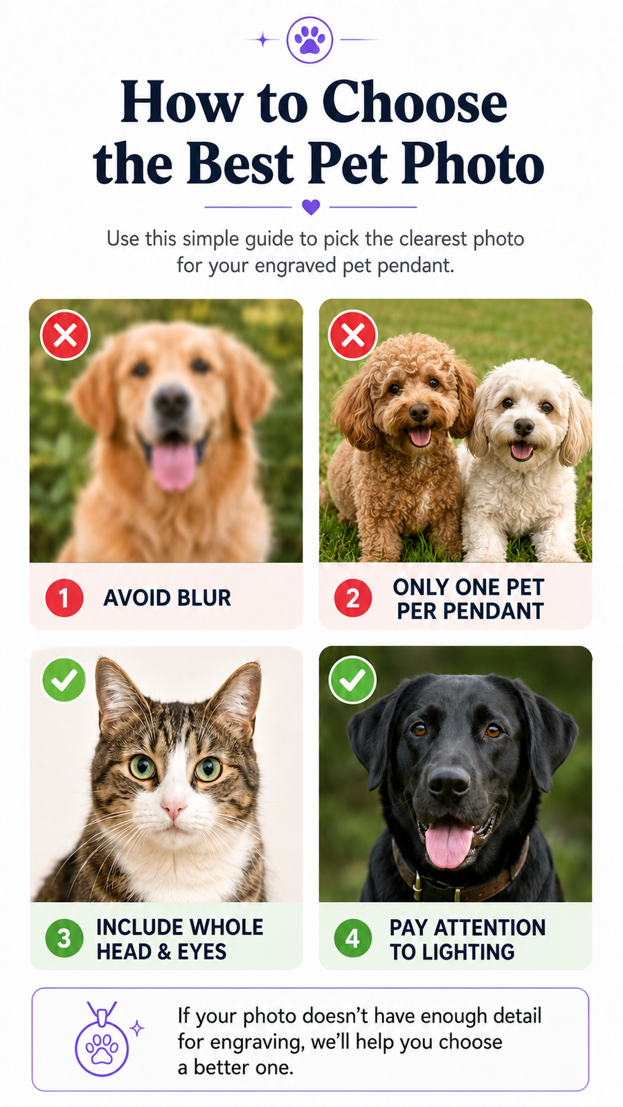 PHOTO GUIDE